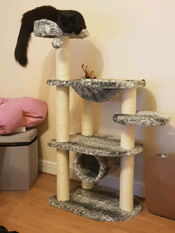 gumtree cat scratching post
